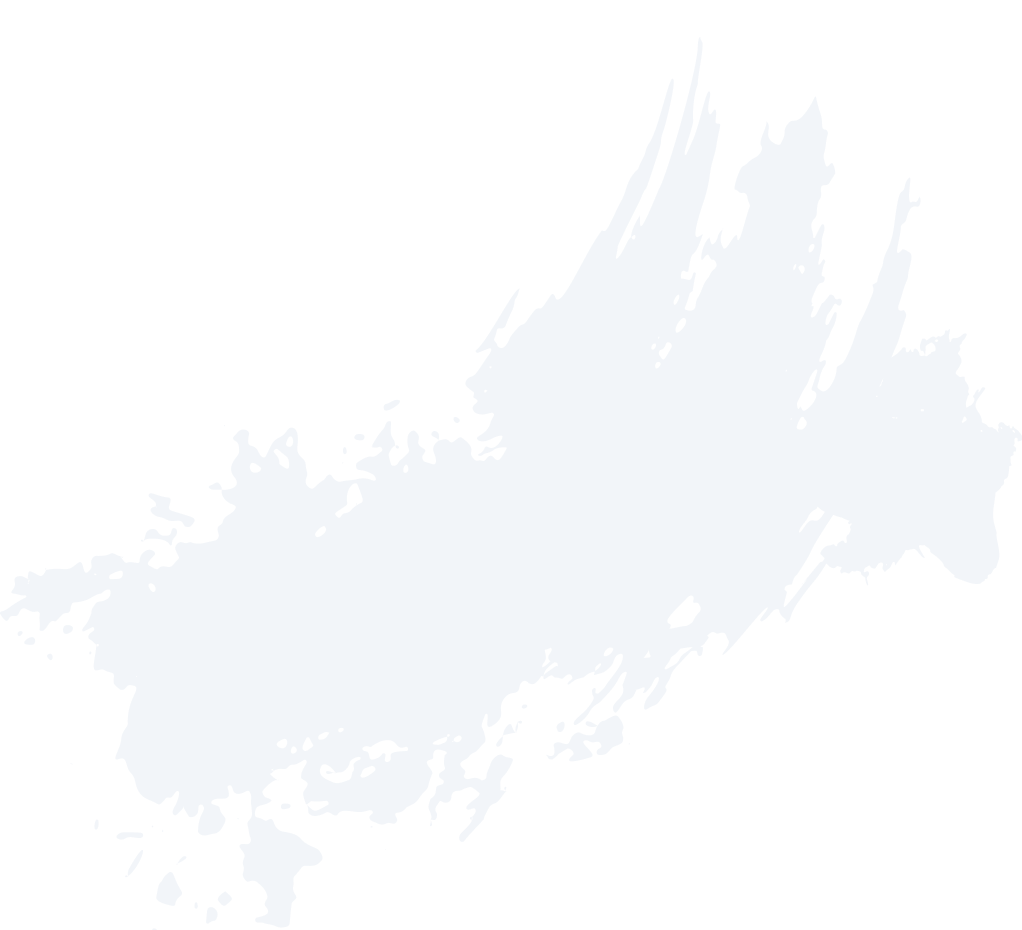 layer-81.png